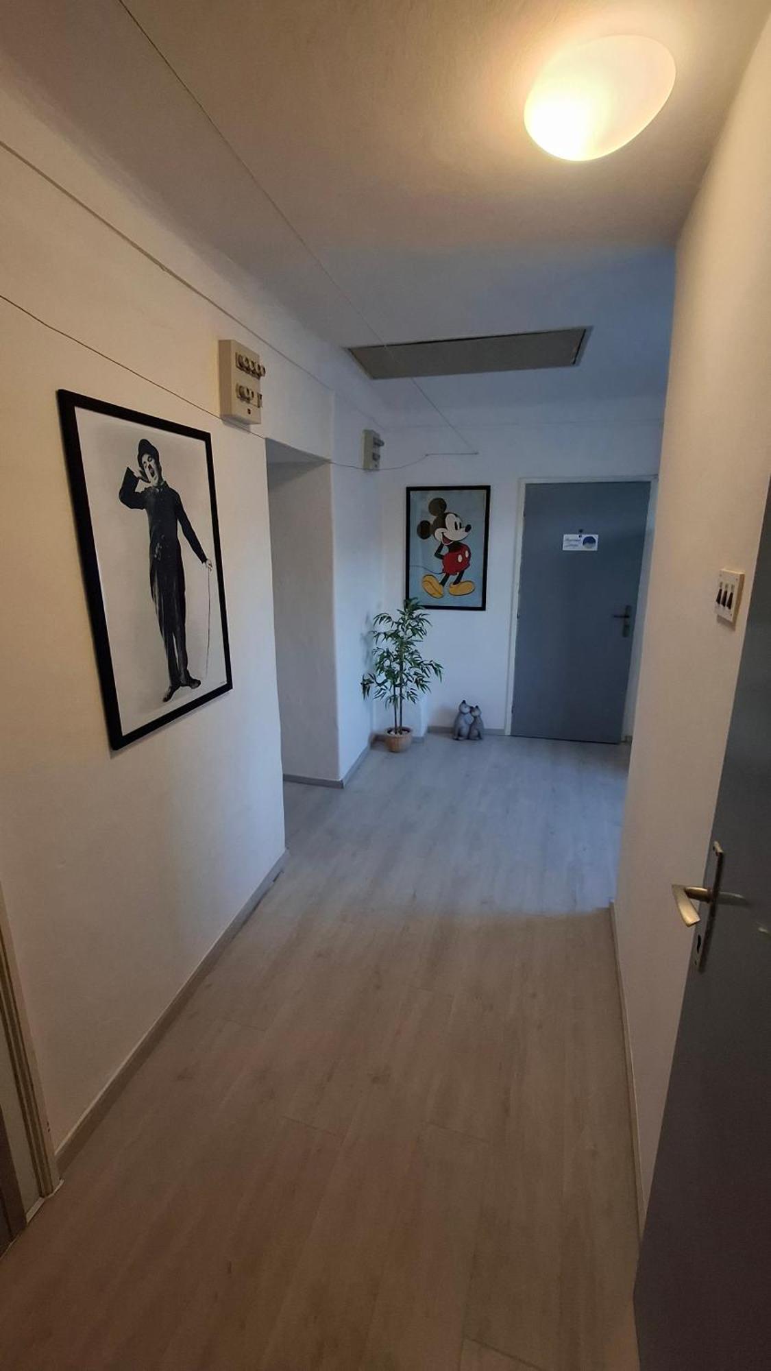 Apartman Darija Pazin Extérieur photo